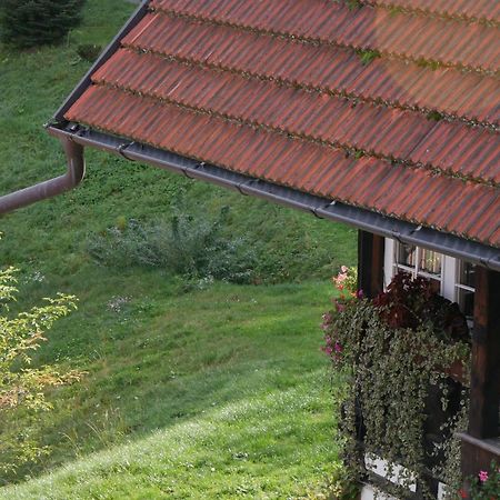 Schwarzwald Buchenhof Villa Zell am Harmersbach Eksteriør bilde