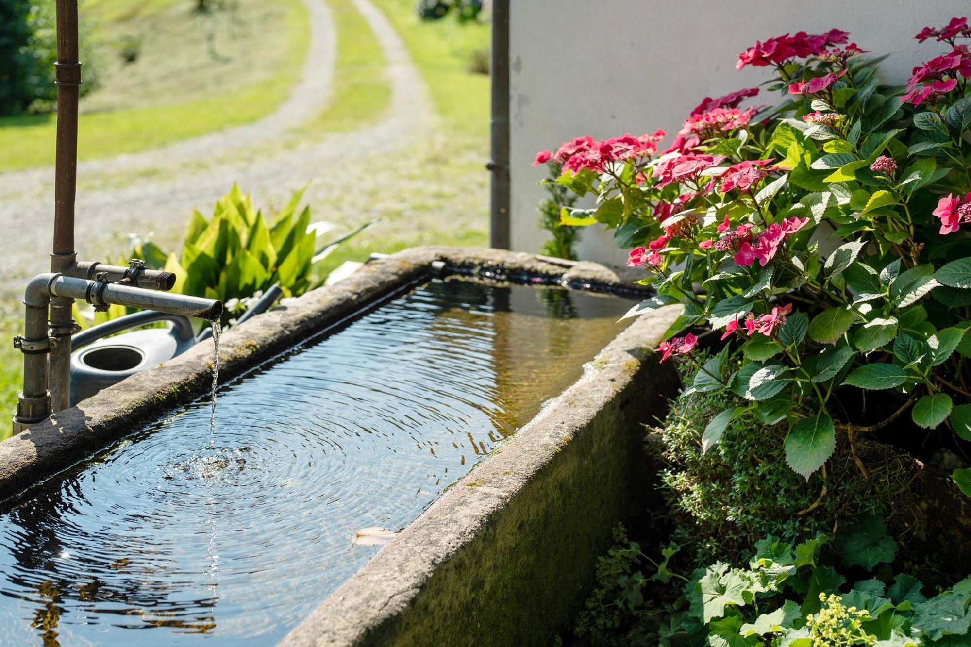 Schwarzwald Buchenhof Villa Zell am Harmersbach Eksteriør bilde