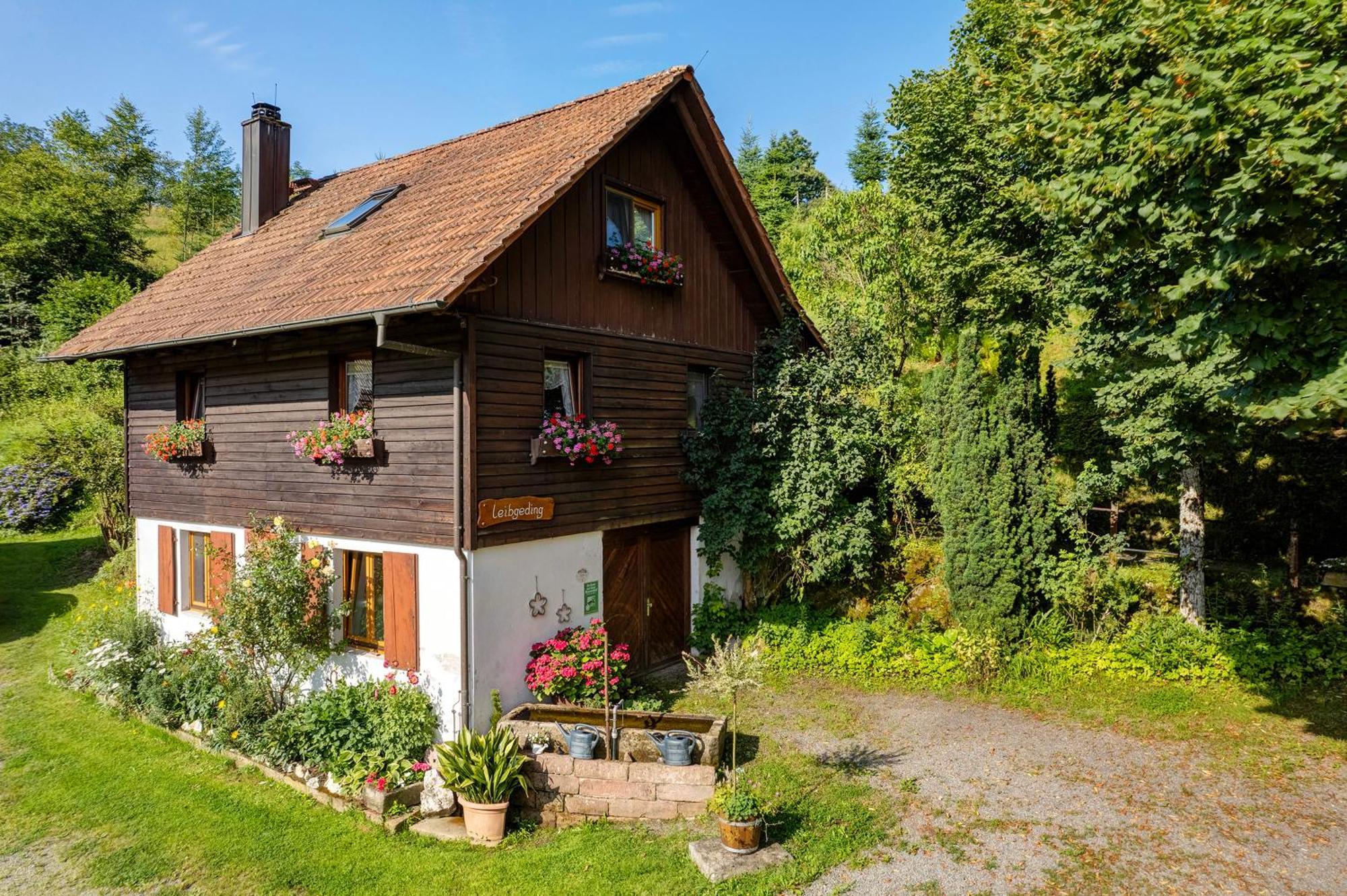 Schwarzwald Buchenhof Villa Zell am Harmersbach Eksteriør bilde